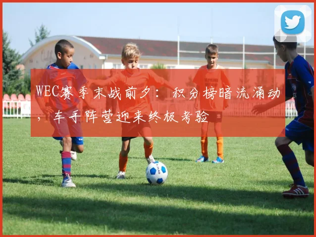 WEC赛季末战前夕:积分榜暗流涌动,车手阵营迎来终极考验